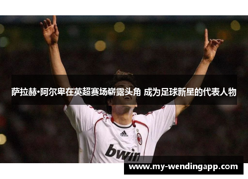 萨拉赫·阿尔卑在英超赛场崭露头角 成为足球新星的代表人物 萨拉赫·阿尔卑在英超赛场崭露头角 成为足球新星的代表人物