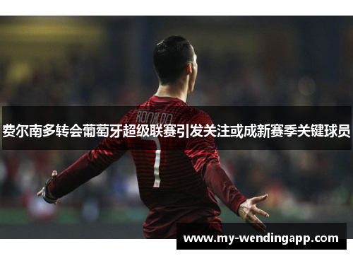 费尔南多转会葡萄牙超级联赛引发关注或成新赛季关键球员 费尔南多转会葡萄牙超级联赛引发关注或成新赛季关键球员