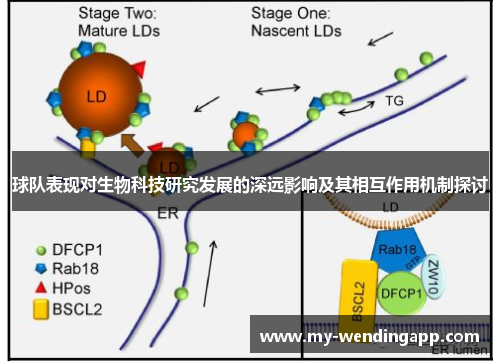 球队表现对生物科技研究发展的深远影响及其相互作用机制探讨 球队表现对生物科技研究发展的深远影响及其相互作用机制探讨