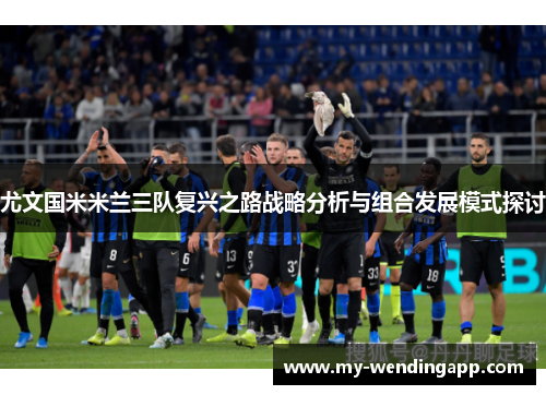 尤文国米米兰三队复兴之路战略分析与组合发展模式探讨 尤文国米米兰三队复兴之路战略分析与组合发展模式探讨