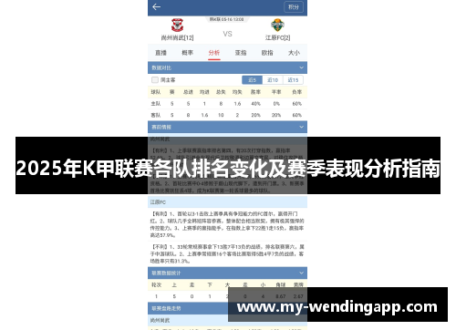 2025年K甲联赛各队排名变化及赛季表现分析指南