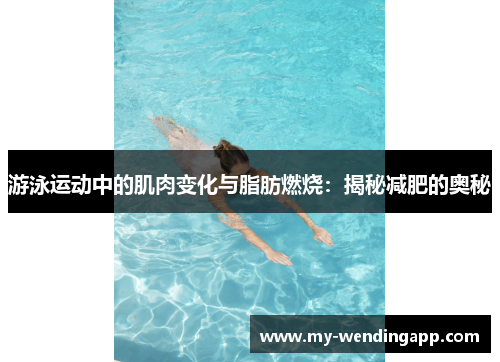 游泳运动中的肌肉变化与脂肪燃烧:揭秘减肥的奥秘 游泳运动中的肌肉变化与脂肪燃烧:揭秘减肥的奥秘