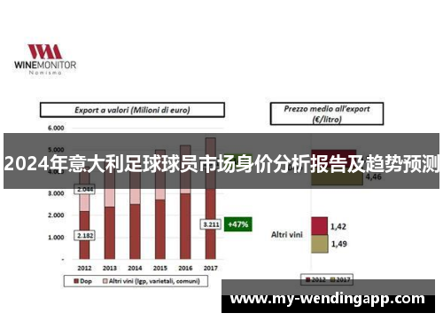 2024年意大利足球球员市场身价分析报告及趋势预测 2024年意大利足球球员市场身价分析报告及趋势预测