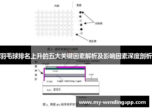 羽毛球排名上升的五大关键因素解析及影响因素深度剖析 羽毛球排名上升的五大关键因素解析及影响因素深度剖析