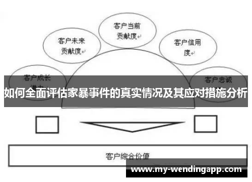 如何全面评估家暴事件的真实情况及其应对措施分析