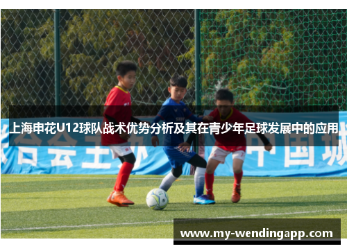 上海申花U12球队战术优势分析及其在青少年足球发展中的应用
