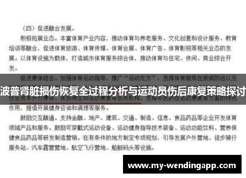 波普肾脏损伤恢复全过程分析与运动员伤后康复策略探讨 波普肾脏损伤恢复全过程分析与运动员伤后康复策略探讨
