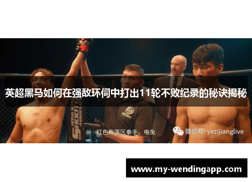 英超黑马如何在强敌环伺中打出11轮不败纪录的秘诀揭秘