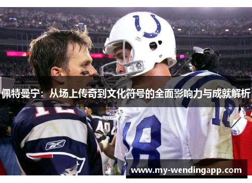 佩特曼宁：从场上传奇到文化符号的全面影响力与成就解析