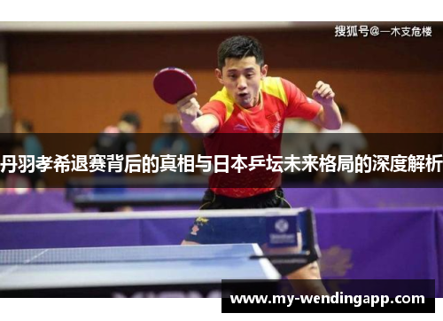 丹羽孝希退赛背后的真相与日本乒坛未来格局的深度解析 丹羽孝希退赛背后的真相与日本乒坛未来格局的深度解析