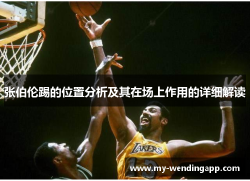 张伯伦踢的位置分析及其在场上作用的详细解读