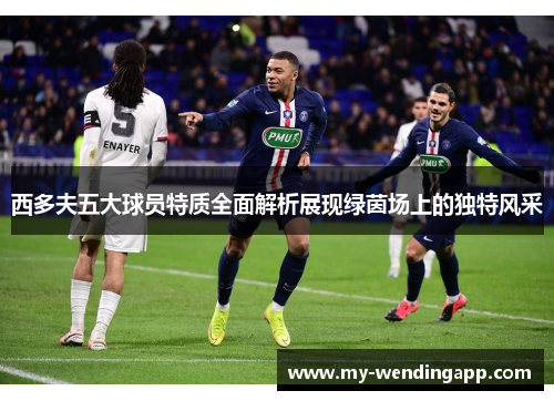 西多夫五大球员特质全面解析展现绿茵场上的独特风采 西多夫五大球员特质全面解析展现绿茵场上的独特风采