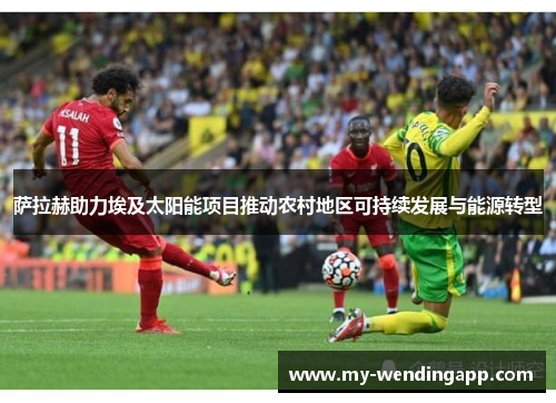 萨拉赫助力埃及太阳能项目推动农村地区可持续发展与能源转型