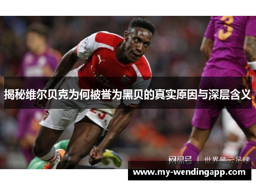 揭秘维尔贝克为何被誉为黑贝的真实原因与深层含义 揭秘维尔贝克为何被誉为黑贝的真实原因与深层含义