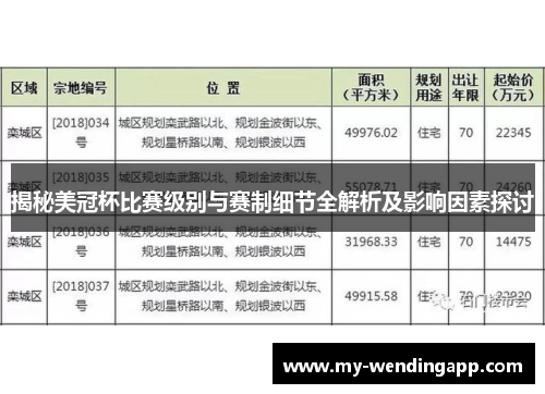 揭秘美冠杯比赛级别与赛制细节全解析及影响因素探讨 揭秘美冠杯比赛级别与赛制细节全解析及影响因素探讨