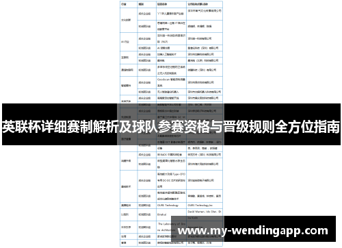 英联杯详细赛制解析及球队参赛资格与晋级规则全方位指南