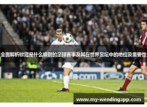 全面解析欧冠是什么级别的足球赛事及其在世界足坛中的地位及重要性