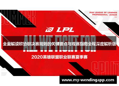 全面解读欧协联决赛规则的关键要点与观赛指南全程深度解析版