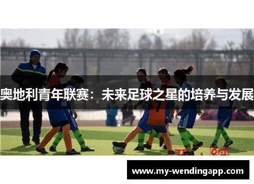 奥地利青年联赛：未来足球之星的培养与发展