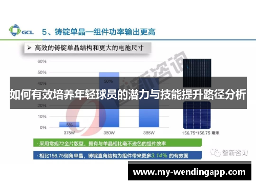 如何有效培养年轻球员的潜力与技能提升路径分析 如何有效培养年轻球员的潜力与技能提升路径分析