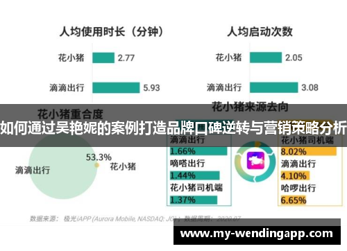 如何通过吴艳妮的案例打造品牌口碑逆转与营销策略分析 如何通过吴艳妮的案例打造品牌口碑逆转与营销策略分析