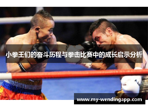 小拳王们的奋斗历程与拳击比赛中的成长启示分析 小拳王们的奋斗历程与拳击比赛中的成长启示分析